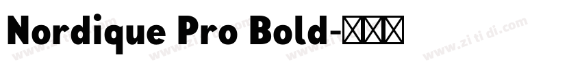 Nordique Pro Bold字体转换